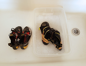 A couple of pairs of climbing shoes in a bathtub.